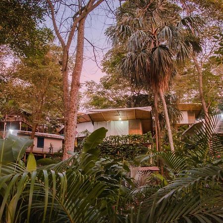 Serrano Tayrona Lodge El Zaino Εξωτερικό φωτογραφία