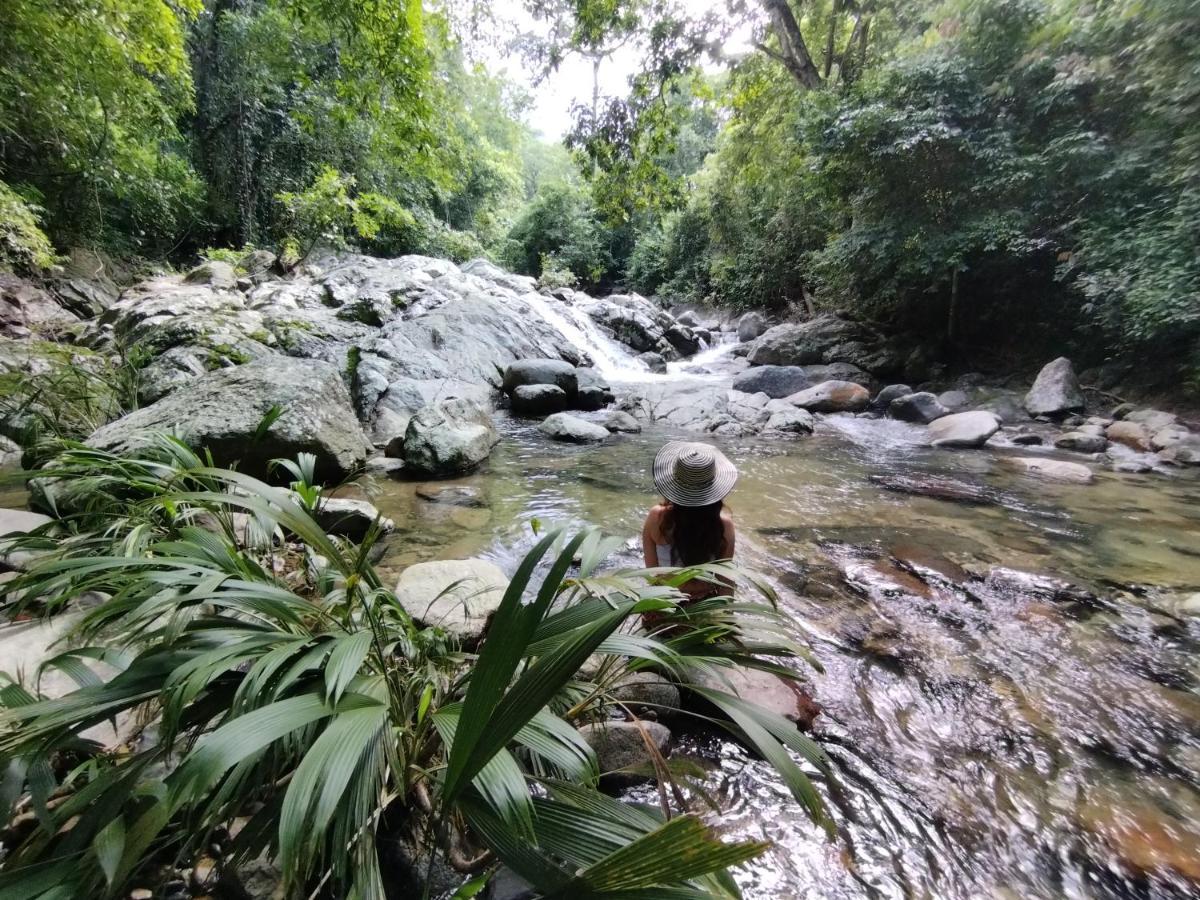 Serrano Tayrona Lodge El Zaino Εξωτερικό φωτογραφία