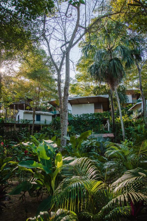 Serrano Tayrona Lodge El Zaino Εξωτερικό φωτογραφία