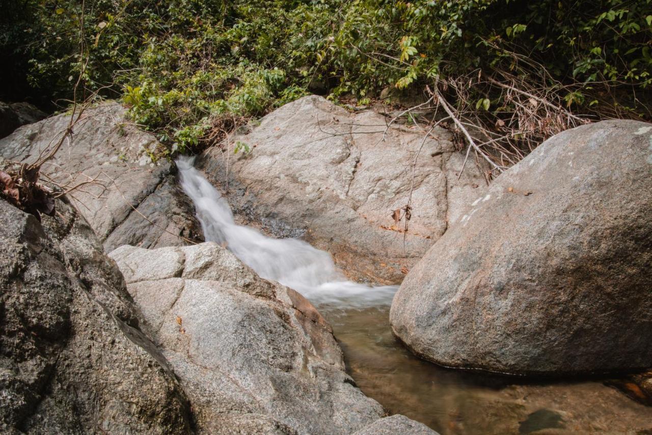 Serrano Tayrona Lodge El Zaino Εξωτερικό φωτογραφία