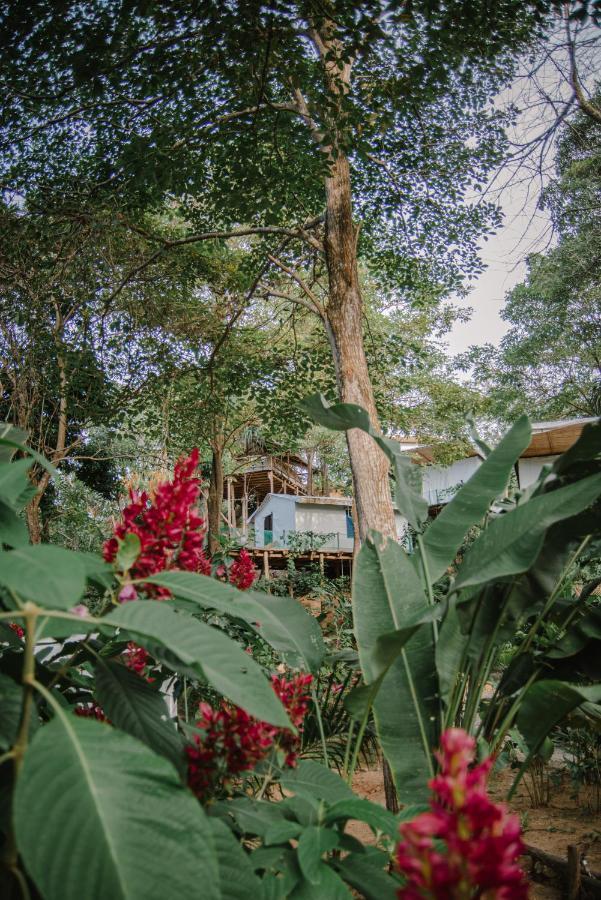 Serrano Tayrona Lodge El Zaino Εξωτερικό φωτογραφία