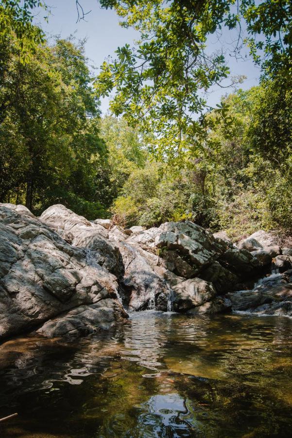 Serrano Tayrona Lodge El Zaino Εξωτερικό φωτογραφία