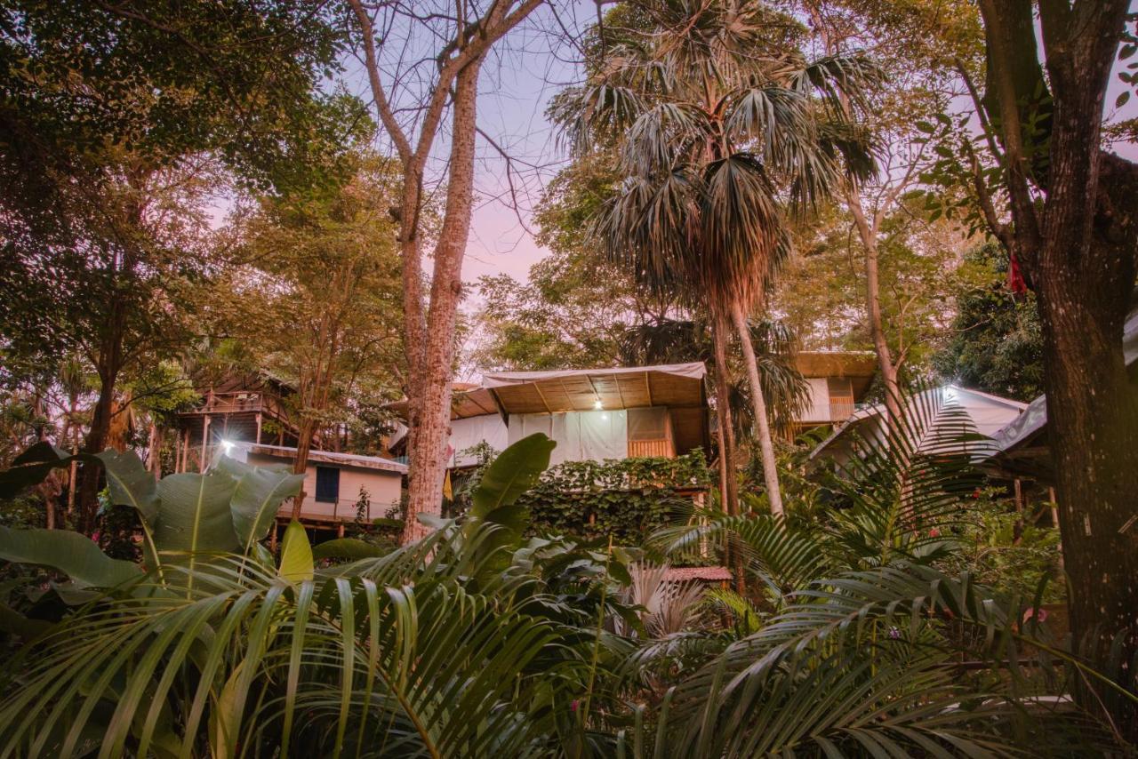 Serrano Tayrona Lodge El Zaino Εξωτερικό φωτογραφία